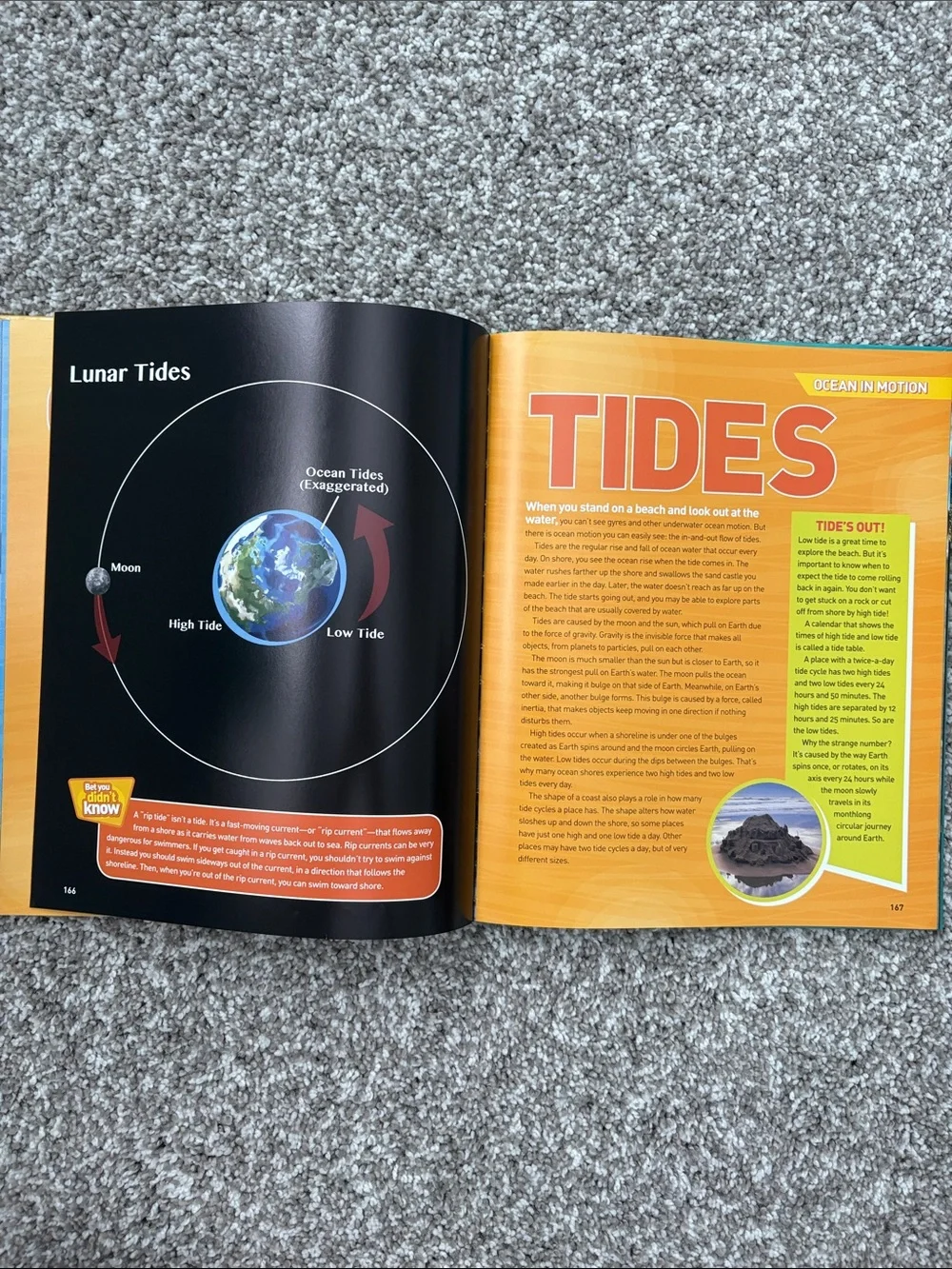 National Geographic Ocean-Pedia Kids Book - Blue & Yellow Cover